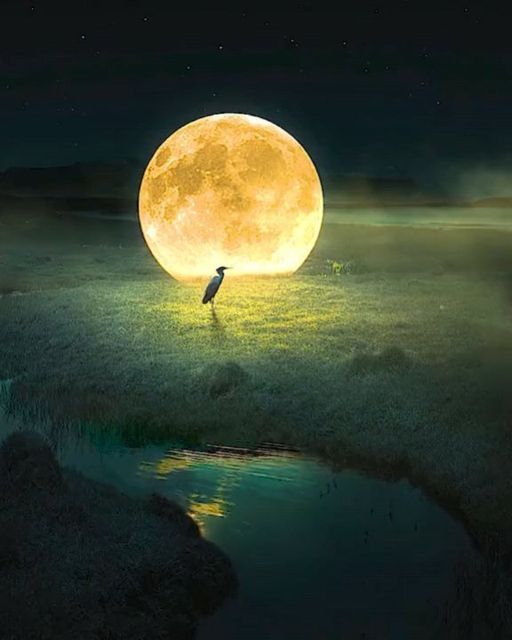 خواطر آخر الليل — كن طيّب الذكرى 