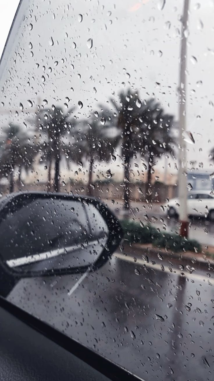 الأمن والسلامة في الطرقات أثناء الأجواء الممطرة