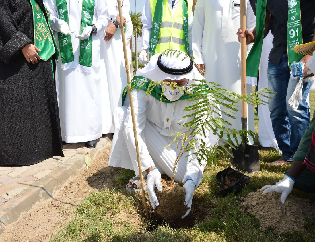 دعماً لمبادرات سمو ولي العهد نحو تحقيق الأهداف المناخية جامعة الامام عبد الرحمن تدشّن مبادرة 