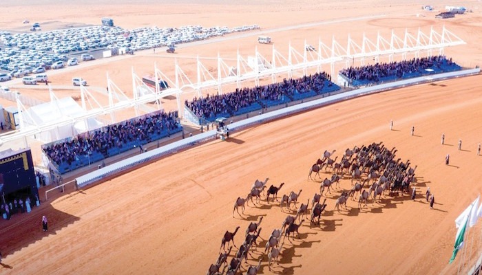 رجال أعمال يضخون مئات الملايين في مهرجان الإبل