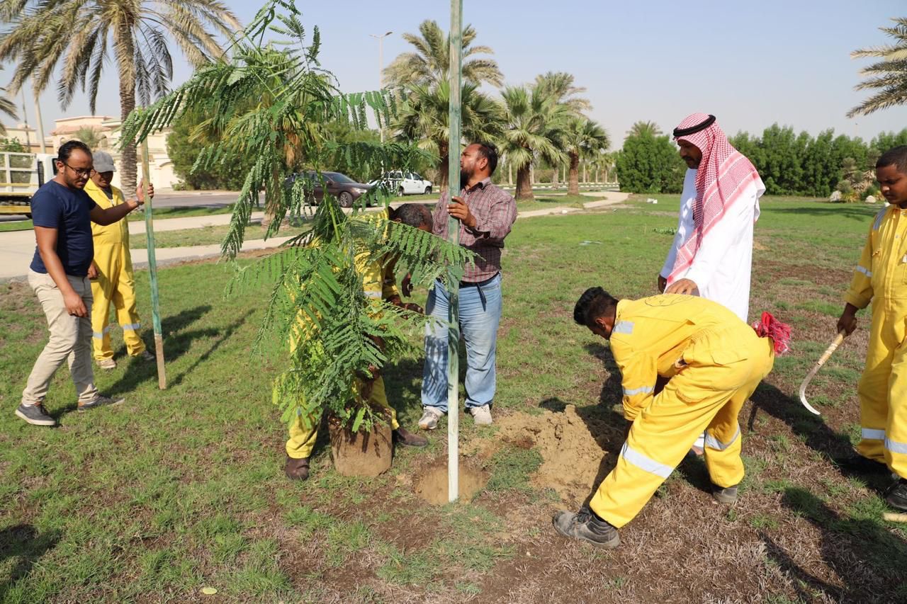 بلدية رأس تنورة تساهم في زيادة الرقعة الخضراء بزراعة أكثر من 3500 شجرة و18 ألف م2 مسطحات خضراء*