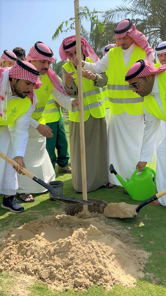 بلدية الجبيل تزرع 1400 شجره في الحدائق والمتنزهات والواجهه البحرية وشوارع المحافظه ضمن مبادرة “شرقية خضراء*