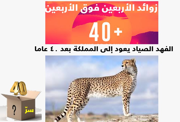  زوائد فوق الأربعين عن الأربعين