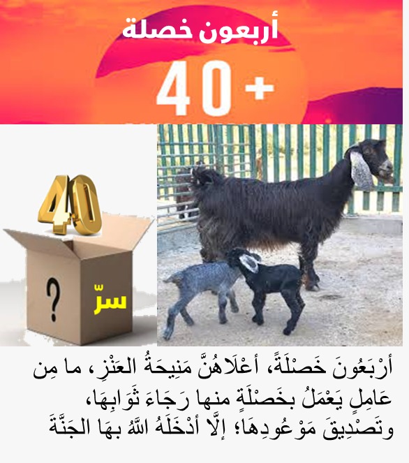 الزائدة ( 17) أربعون خصلة ، أعْلَاهُنَّ مَنِيحَةُ العَنْزِ .. العمل بإحداهن تدخل الجنة