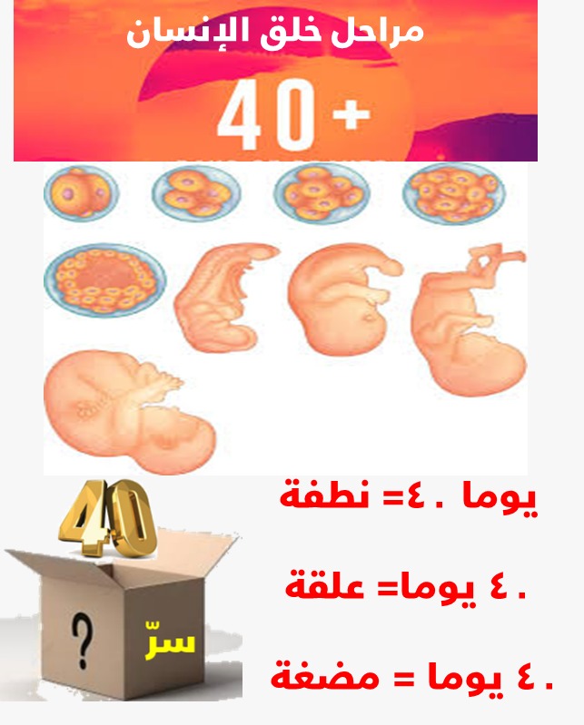 ومازالت الأربعون تتحدث الزائدة (19)