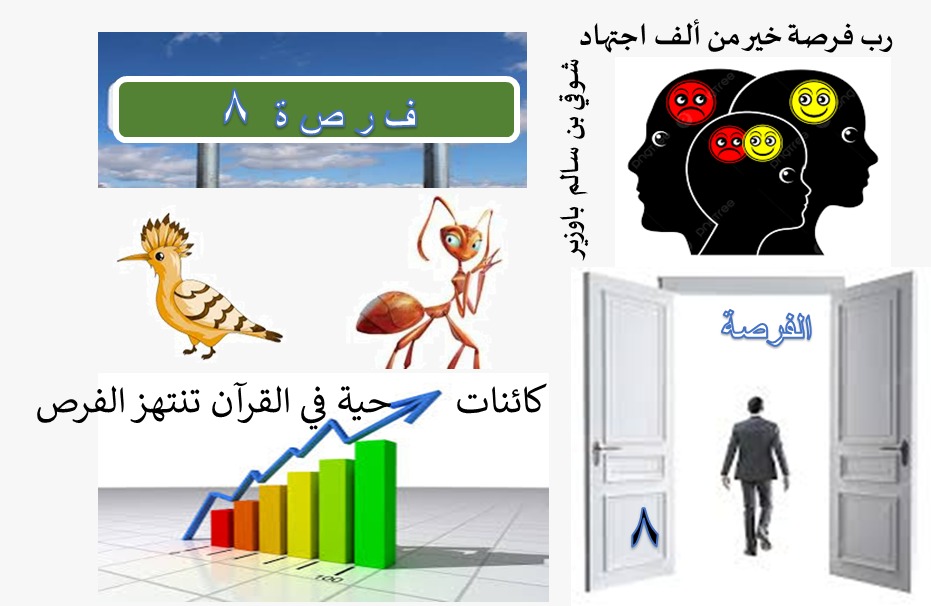 الفرص في الحياة (8 من 40)