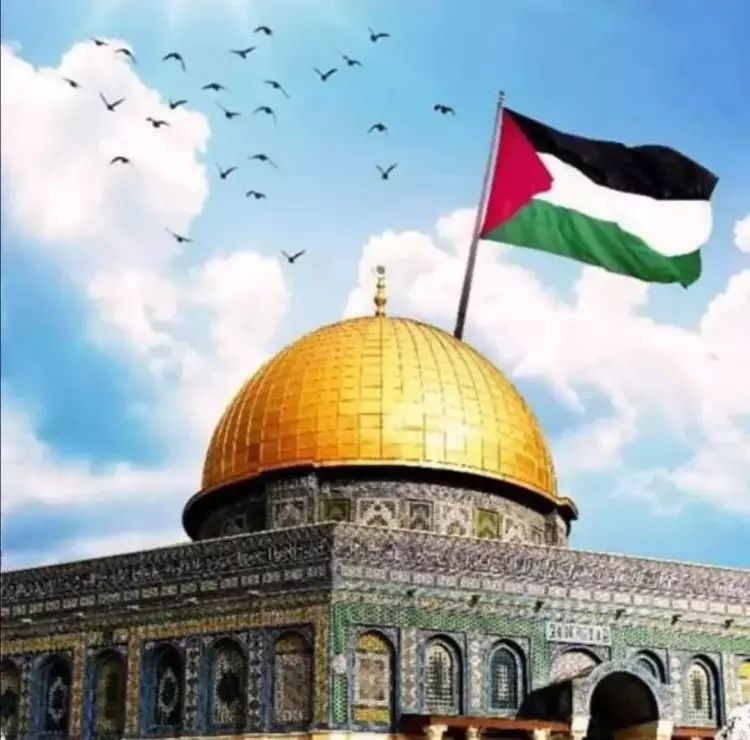 فلسطين ..الأبيّه تحيا لاتموت