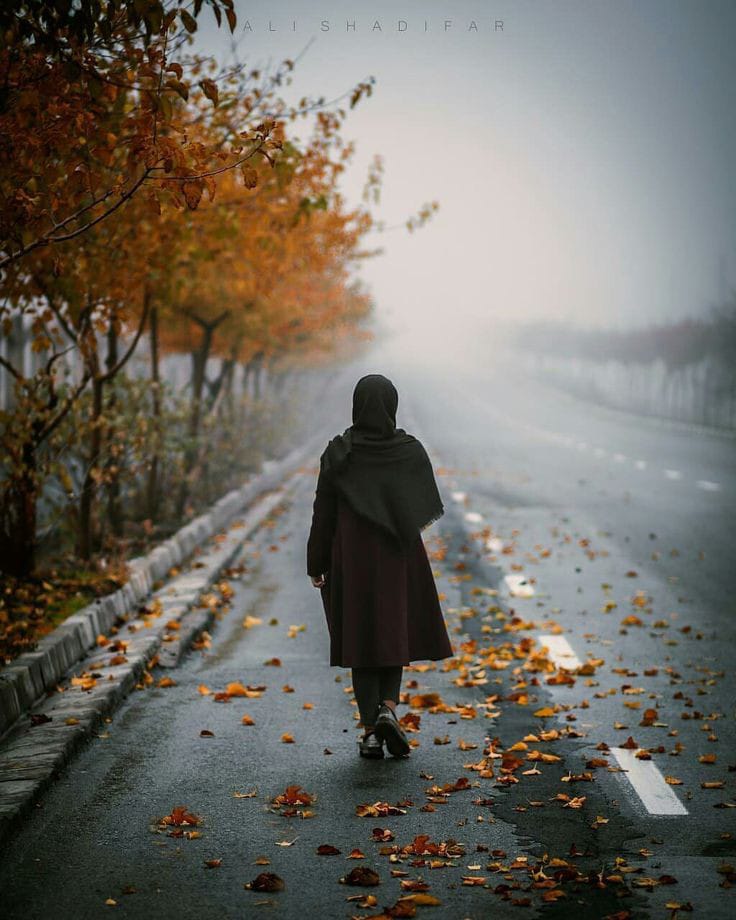 علمتني الحياة 