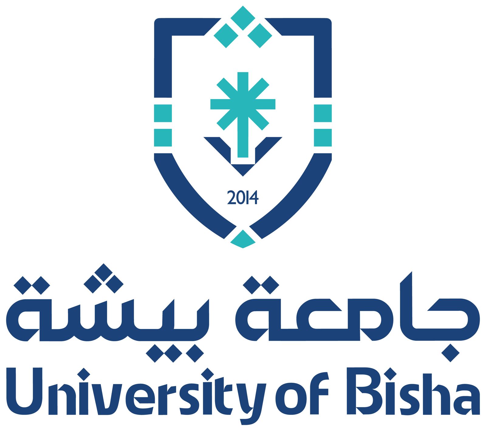 جامعة بيشة تحقق إنجازًا جديدًا بدخولها لأول مرة تصنيف التايمز العالمي للعلوم 